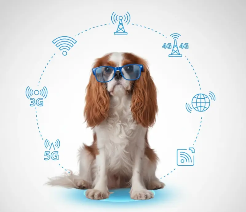 Conexión universal 3G 4G 5G WiFi para videoperitaje
